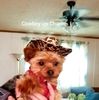 baxtercharlie